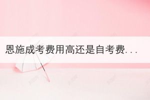 恩施成考費(fèi)用高還是自考費(fèi)用高？