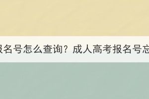 湖北成人高考報(bào)名號怎么查詢？成人高考報(bào)名號忘記了怎么辦？