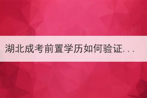 湖北成考前置學歷如何驗證？