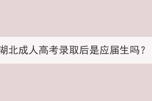 湖北成人高考錄取后是應(yīng)屆生嗎？