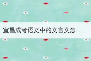 宜昌成考語文中的文言文怎么理解，有什么技巧嗎？