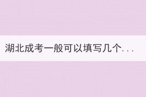 湖北成考一般可以填寫幾個志愿？