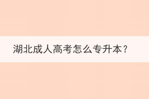 湖北成人高考怎么專升本？