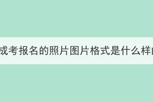 湖北成考報(bào)名的照片圖片格式是什么樣的？