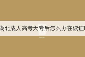 報(bào)考湖北成人高考大專后怎么辦在讀證明？