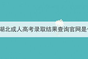 2021年湖北成人高考錄取結(jié)果查詢官網(wǎng)是什么？