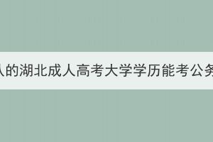 國(guó)家承認(rèn)的湖北成人高考大學(xué)學(xué)歷能考公務(wù)員嗎？
