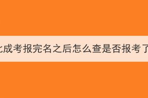 湖北成考報(bào)完名之后怎么查是否報(bào)考了？