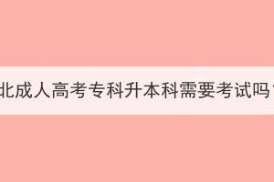 湖北成人高考專科升本科需要考試嗎？