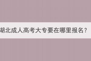 湖北成人高考大專要在哪里報名？