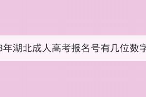 2023年湖北成人高考報名號有幾位數(shù)字？
