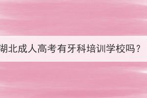 湖北成人高考有牙科培訓(xùn)學(xué)校嗎？
