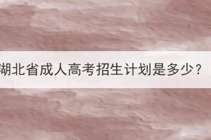 湖北省成人高考招生計劃是多少？